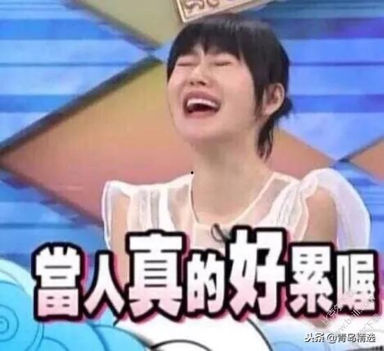 娱乐圈吃瓜采访视频完整版,揭秘明星幕后故事与真实情感